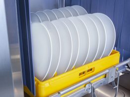 dual rinse rack type